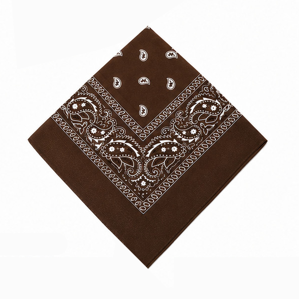 Classic Cotton Paisley Bandana – 1 Dozen Pack Classic Cotton Paisley Bandana – 1 Dozen Pack - Image 11