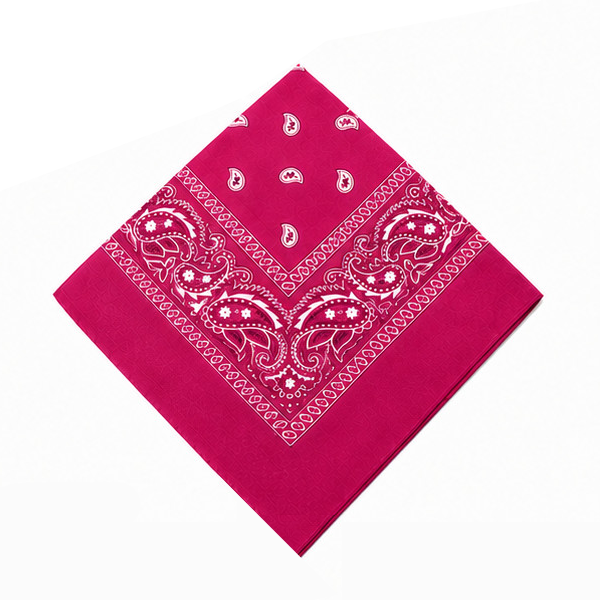Cotton Paisley Bandana in Fuchsia