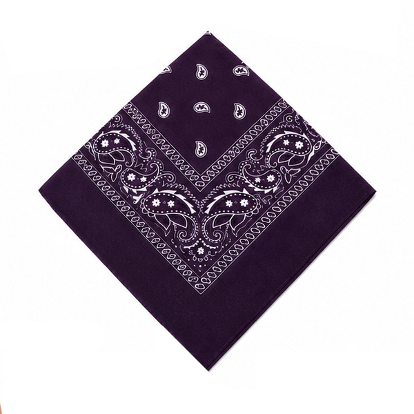 Classic Cotton Paisley Bandana – 1 Dozen Pack Classic Cotton Paisley Bandana – 1 Dozen Pack - Image 6