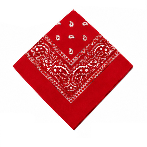 Classic Cotton Paisley Bandana – 1 Dozen Pack Classic Cotton Paisley Bandana – 1 Dozen Pack - Image 5